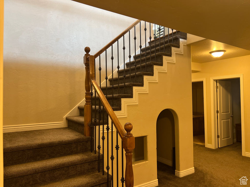 Staircase with dark carpet