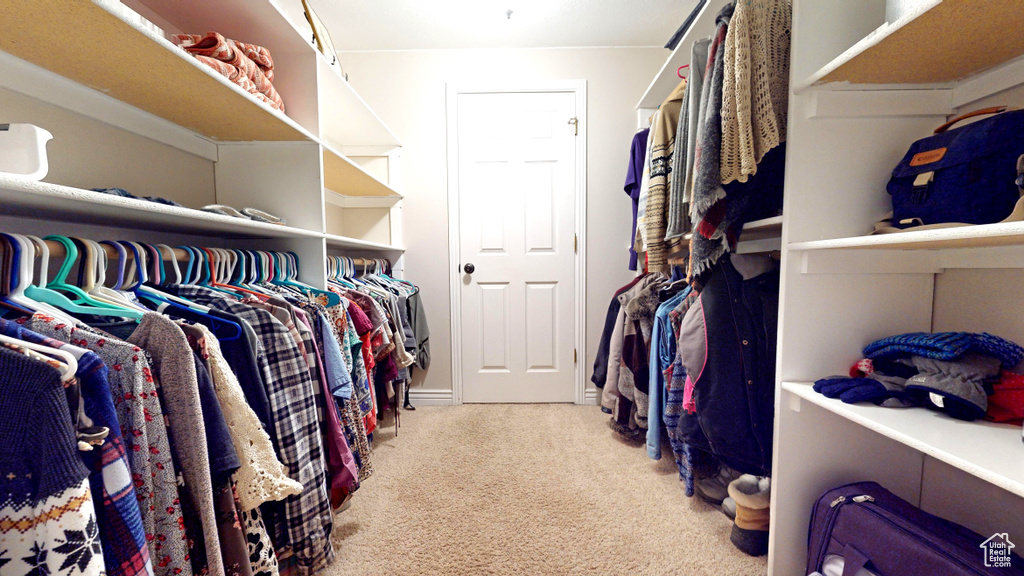 Spacious closet featuring light carpet