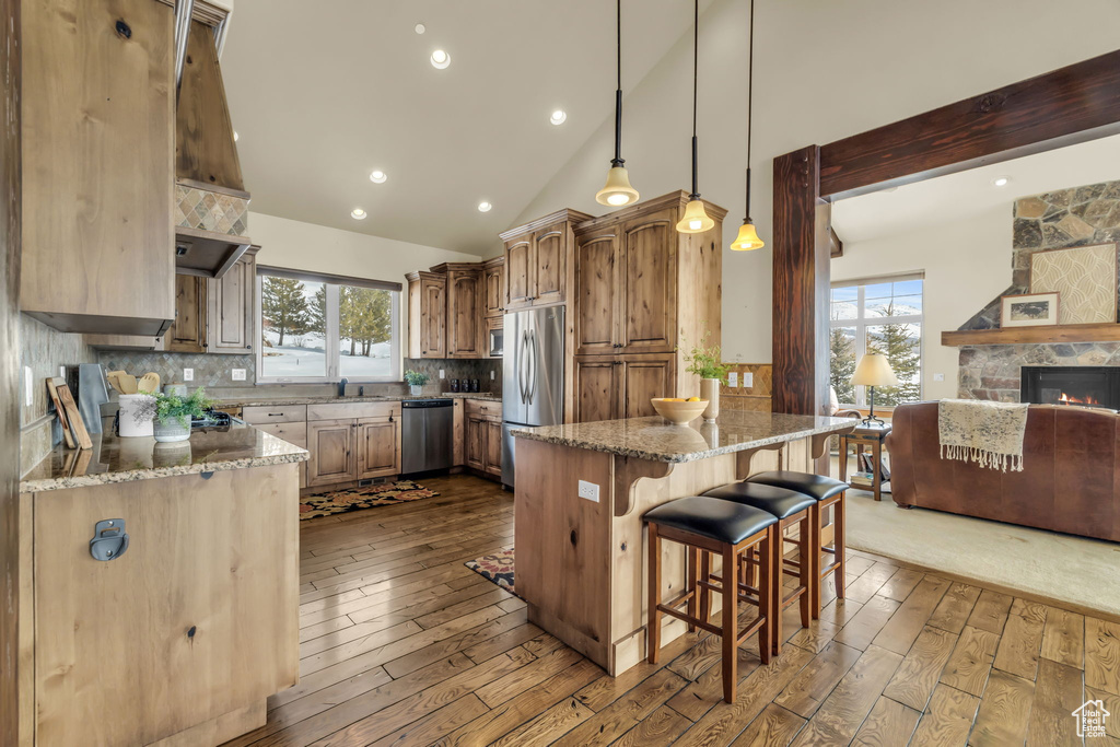 Kitchen with a stone fireplace, stainless steel appliances, plenty of natural light, and hardwood / wood-style floors