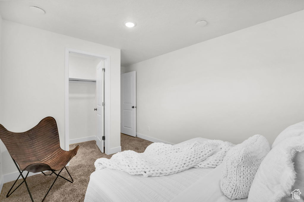 Bedroom with a closet, a spacious closet, and light colored carpet