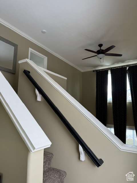 Interior space featuring crown molding and ceiling fan