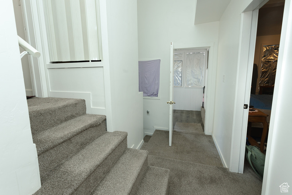 Staircase with dark colored carpet