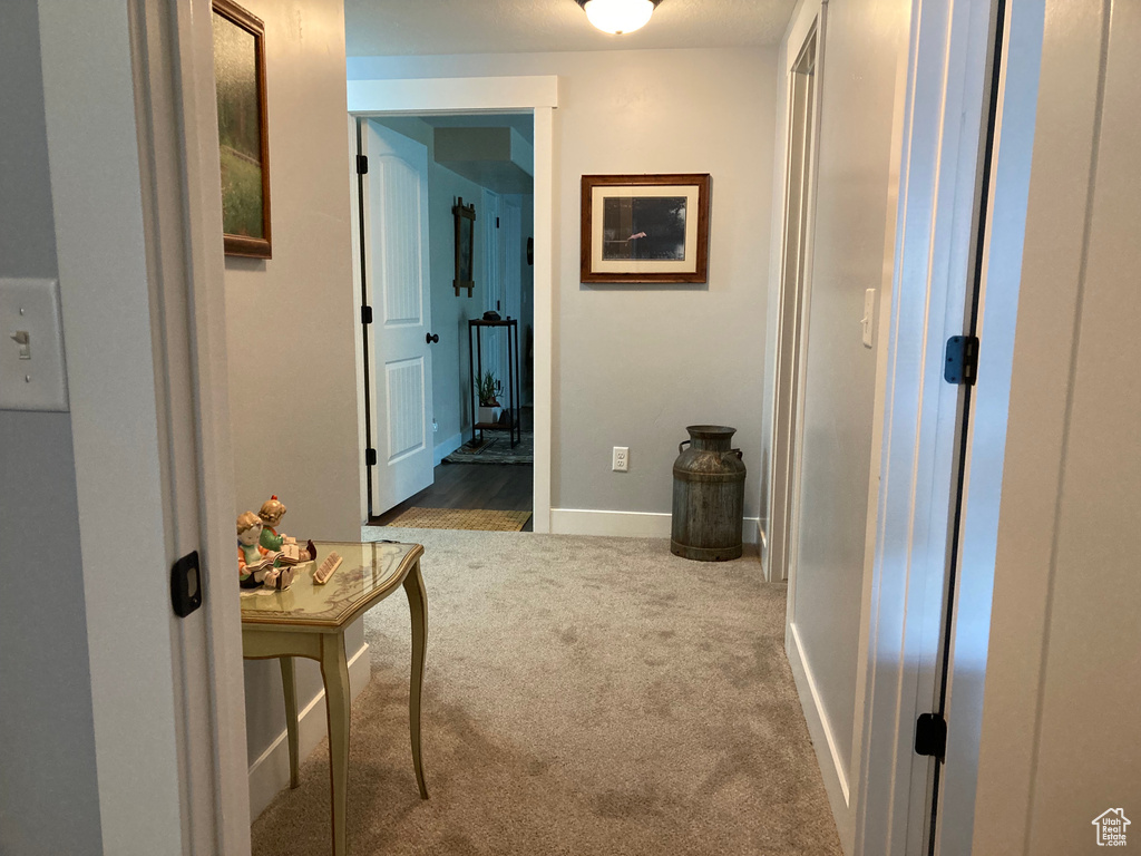 Corridor featuring light colored carpet