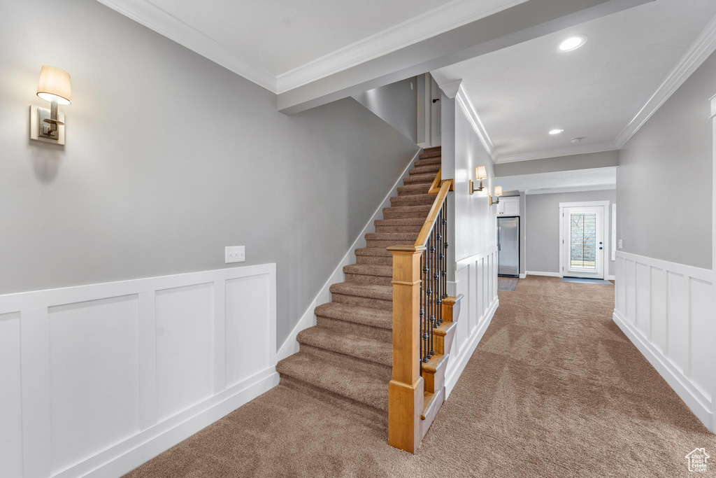 Staircase with carpet floors and crown molding