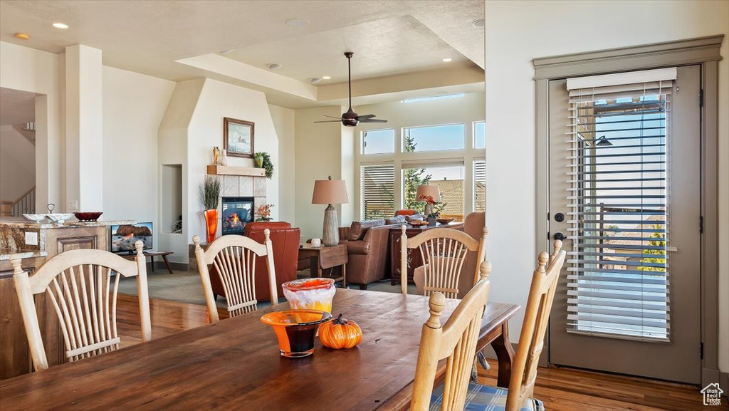 Dining space featuring a tray ceiling, hardwood / wood-style flooring, and ceiling fan