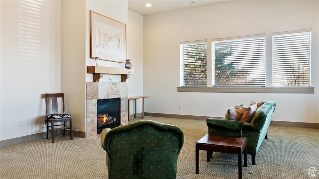 Living area featuring a fireplace and carpet