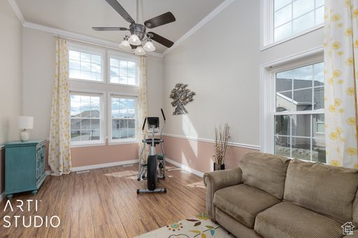 Exercise area with a towering ceiling, crown molding, ceiling fan, and hardwood / wood-style floors