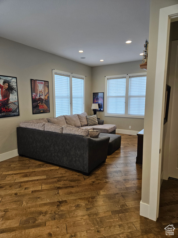 Living room featuring a wealth of natural light and dark hardwood / wood-style floors