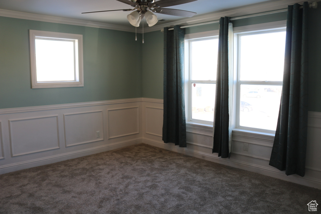 Empty room featuring a wealth of natural light, crown molding, dark carpet, and ceiling fan