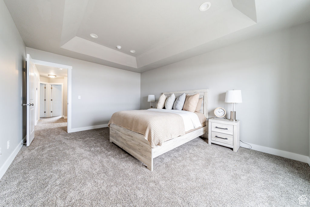 Bedroom with light carpet and a tray ceiling