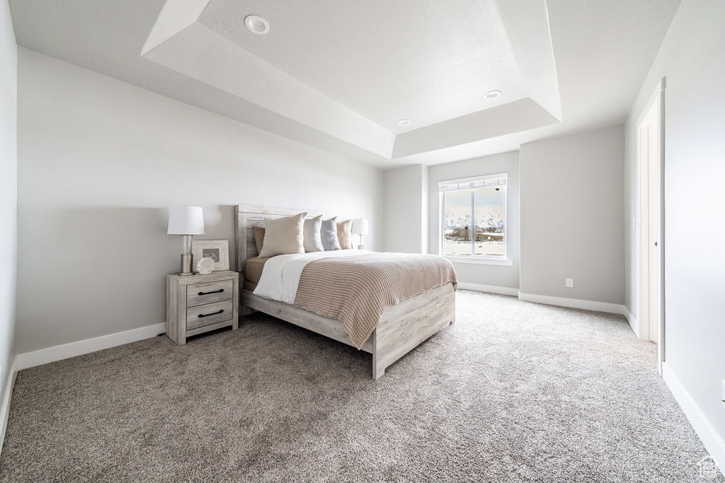 Carpeted bedroom with a tray ceiling