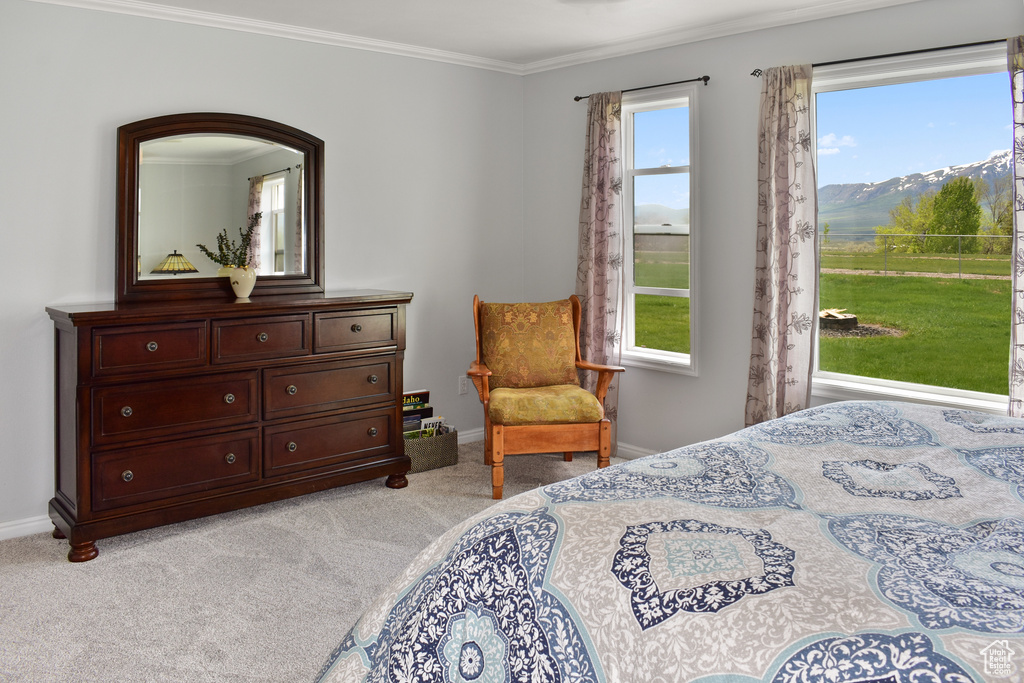 Bedroom with access to outside, light carpet, multiple windows, and ornamental molding