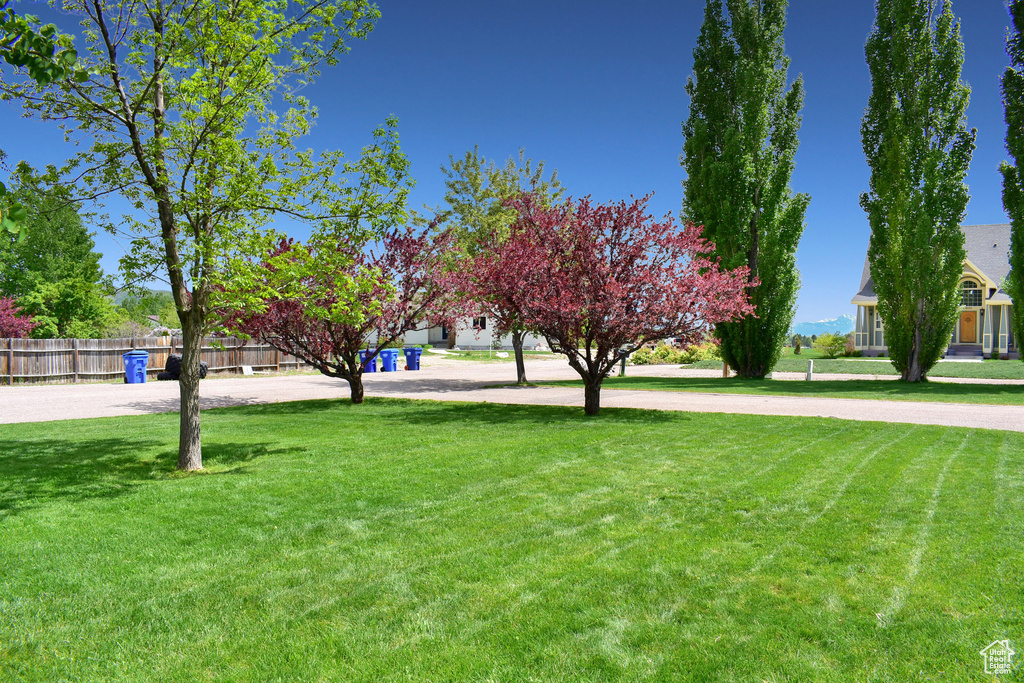 View of home's community featuring a lawn