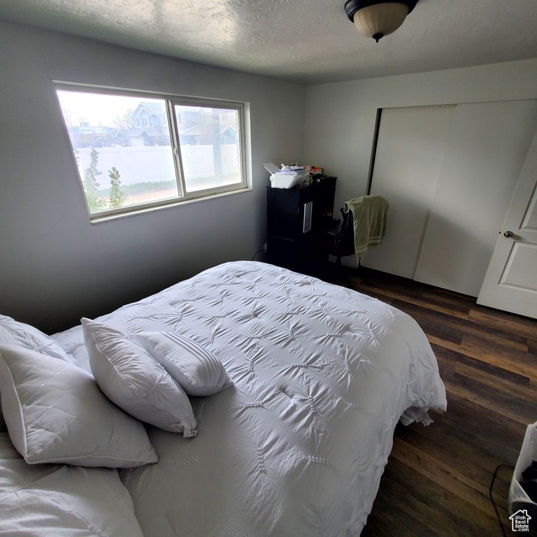 Bedroom featuring multiple windows, a textured ceiling, and dark hardwood / wood-style flooring
