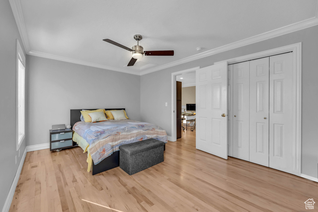 Bedroom with light hardwood / wood-style flooring, ceiling fan, and ornamental molding