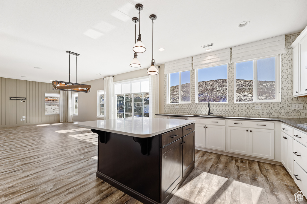 Kitchen with a wealth of natural light, hanging light fixtures, and light hardwood / wood-style flooring