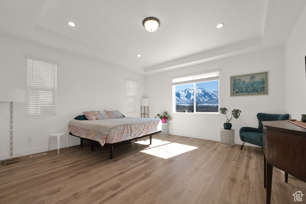 Bedroom featuring light hardwood / wood-style flooring and a tray ceiling