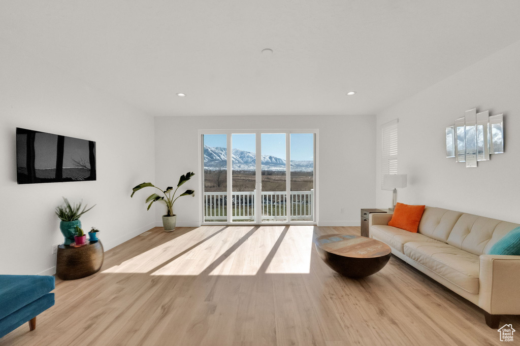 Living room featuring a mountain view and light hardwood / wood-style floors