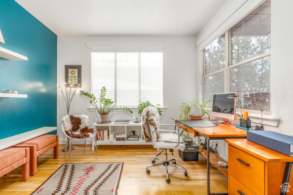 Office with light hardwood / wood-style floors