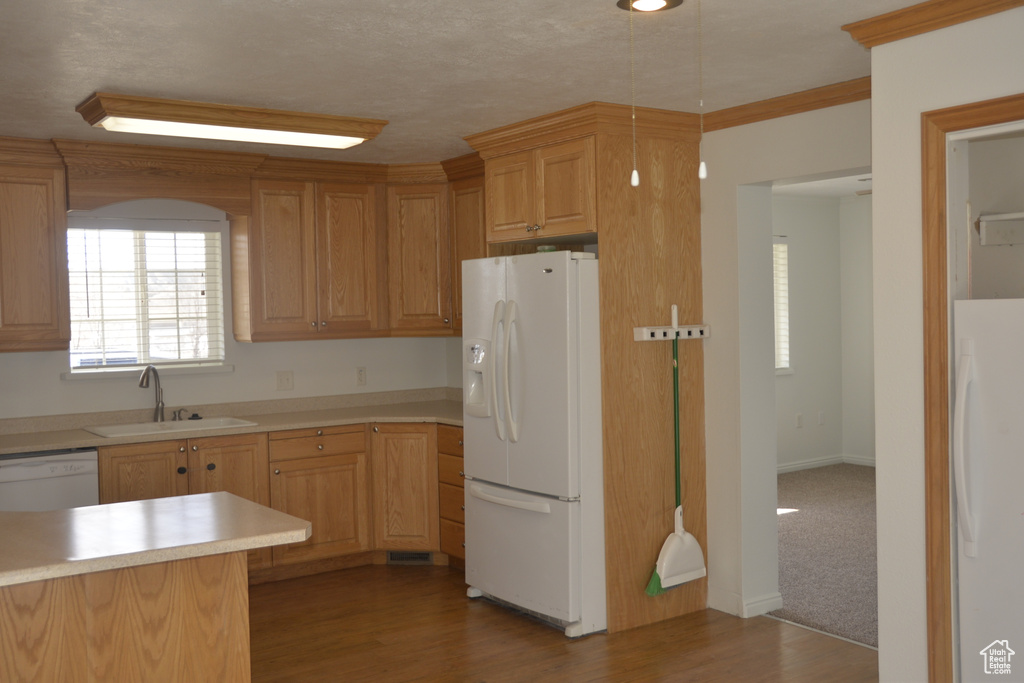 Kitchen with carpet floors, white appliances, light brown cabinets, and sink