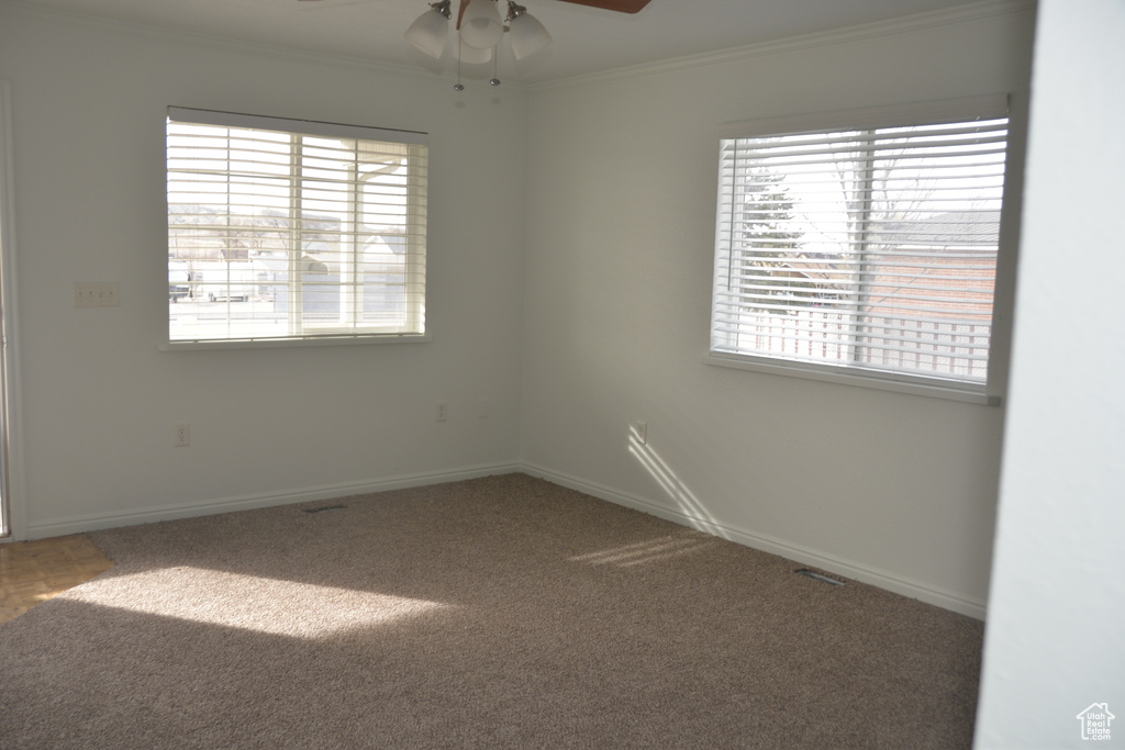 Unfurnished room featuring ornamental molding, carpet floors, and ceiling fan