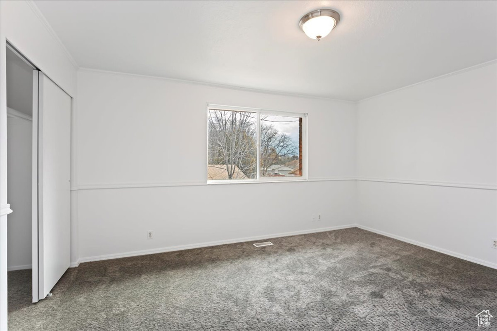 Unfurnished bedroom featuring crown molding, a closet, and carpet floors