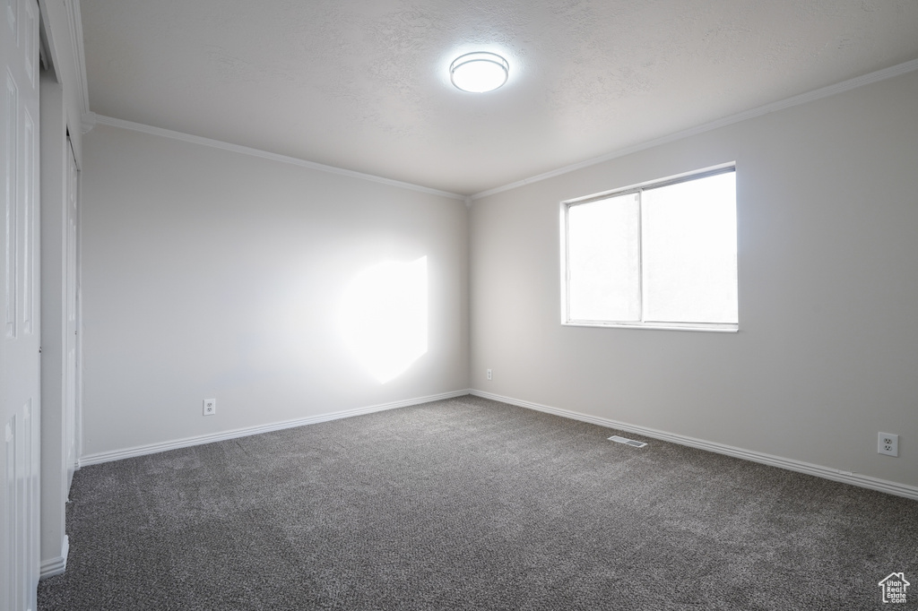 Spare room with ornamental molding and dark carpet