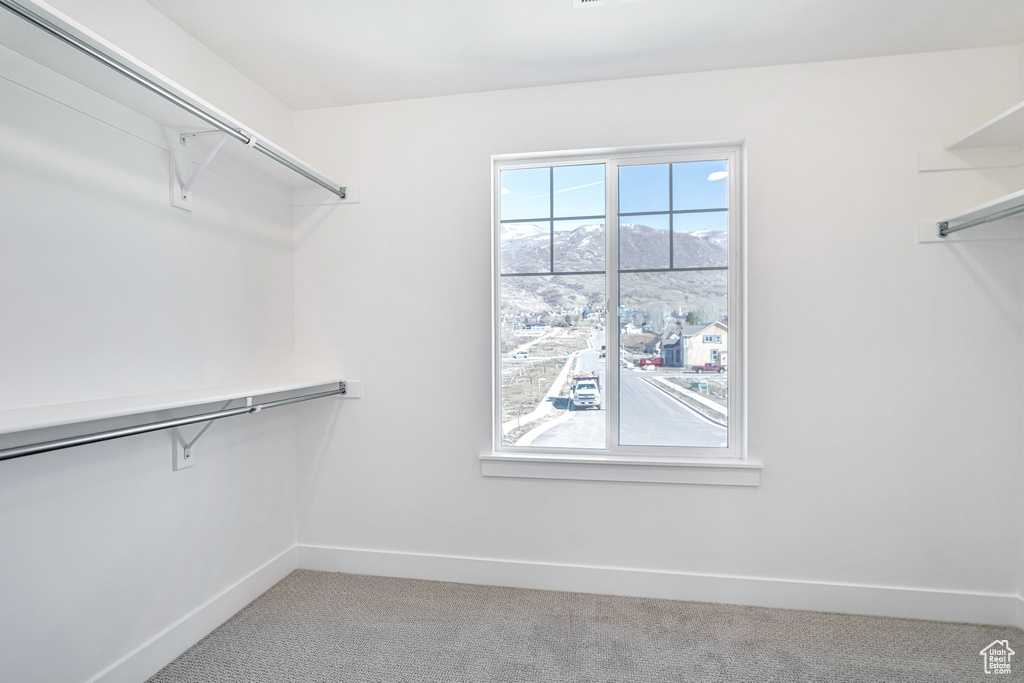 Spacious closet with light colored carpet