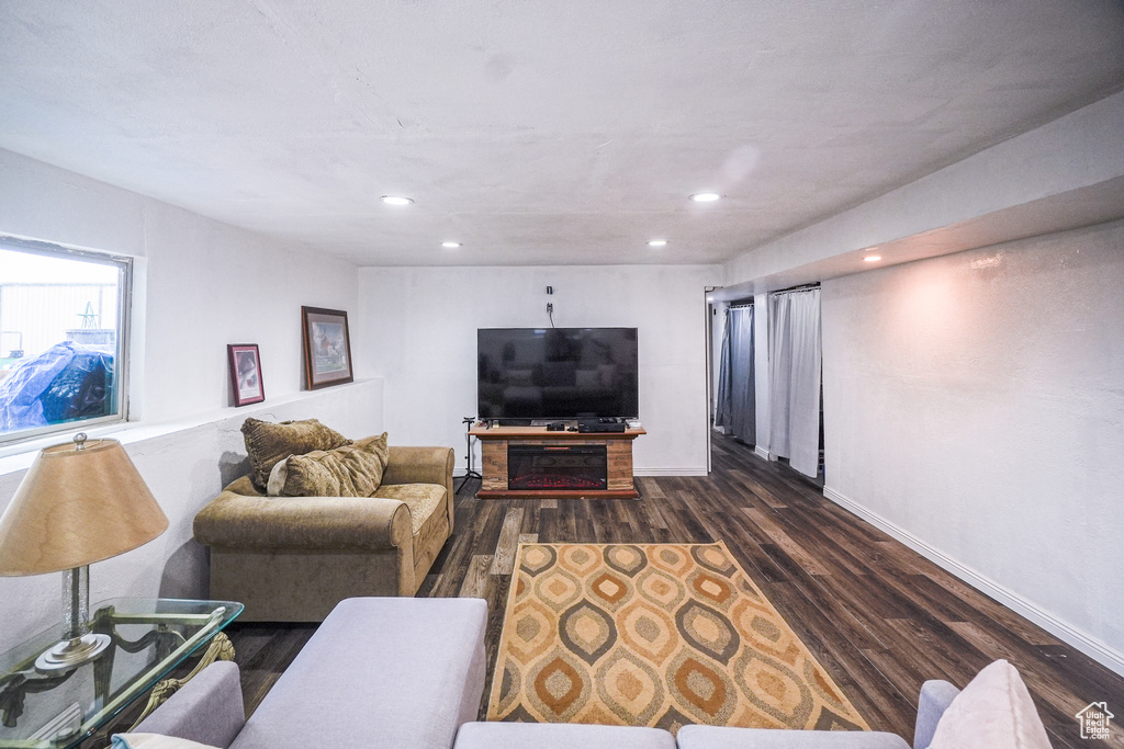 Living room featuring dark wood-type flooring
