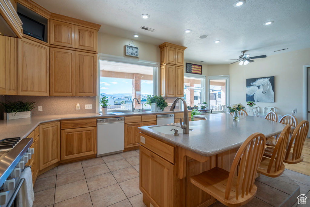 Kitchen with plenty of natural light, stainless steel range, white dishwasher, and ceiling fan