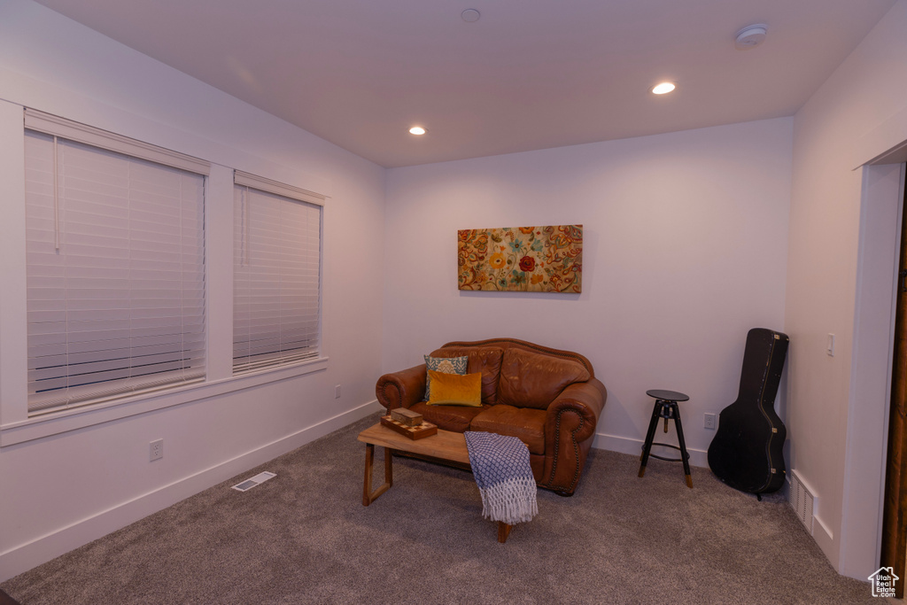 Living area with dark carpet