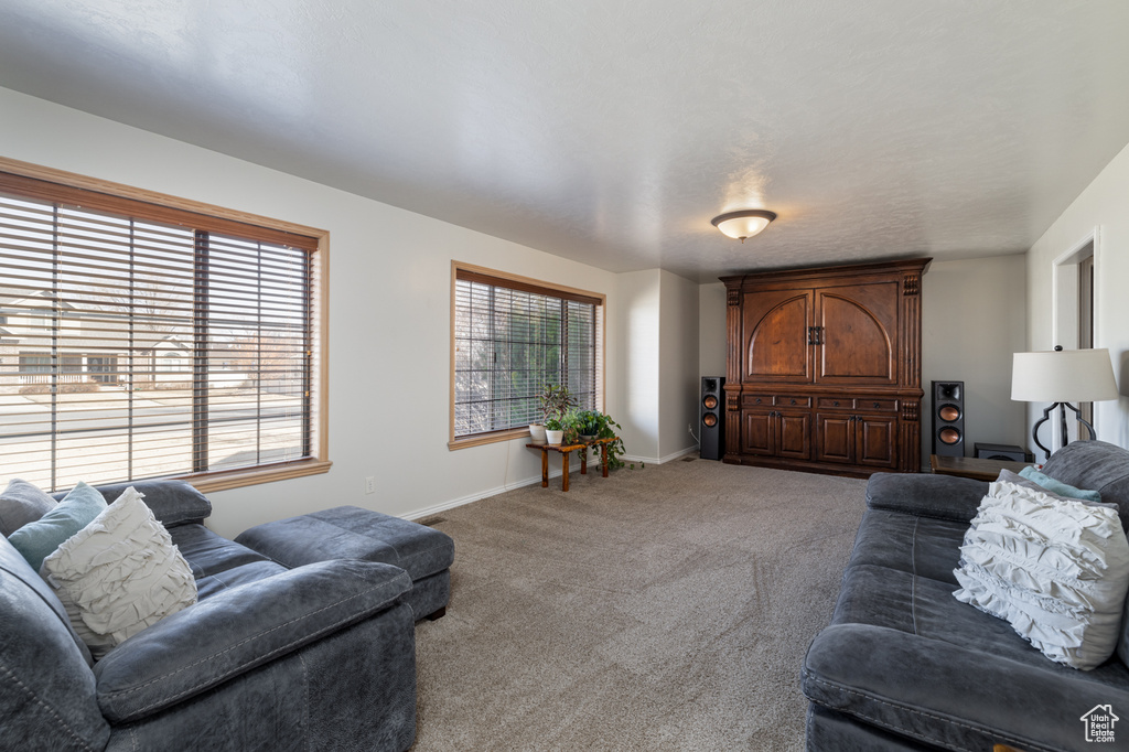 View of carpeted living room