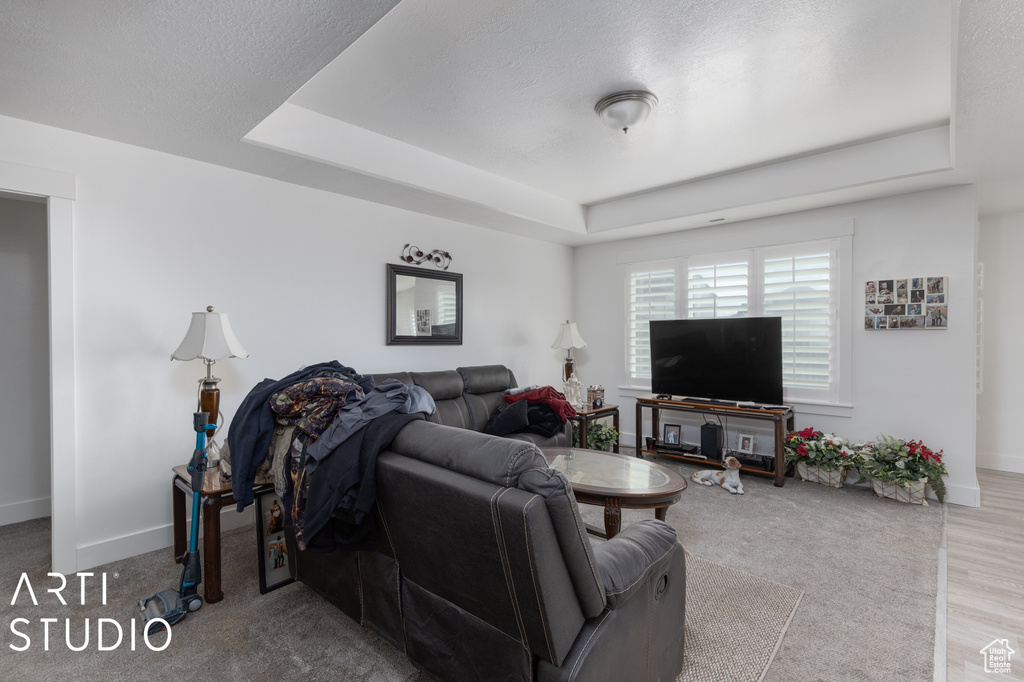 Living room featuring light hardwood / wood-style floors and a raised ceiling