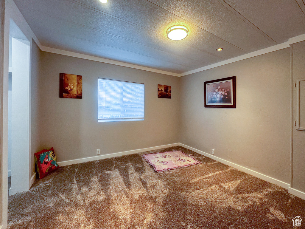 Spare room featuring crown molding and dark carpet