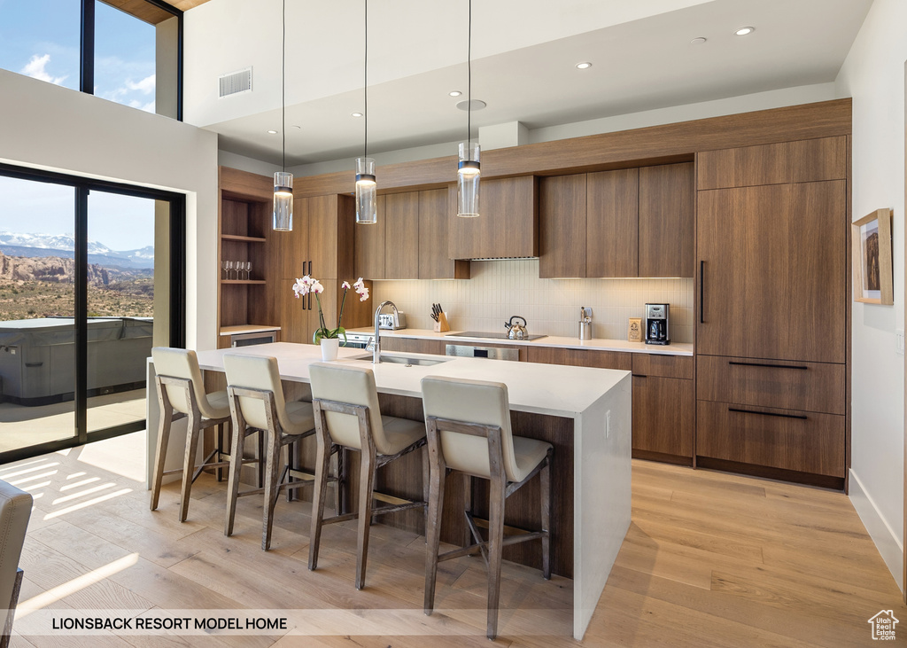 Kitchen featuring sink, light hardwood / wood-style flooring, a kitchen island with sink, and a wealth of natural light