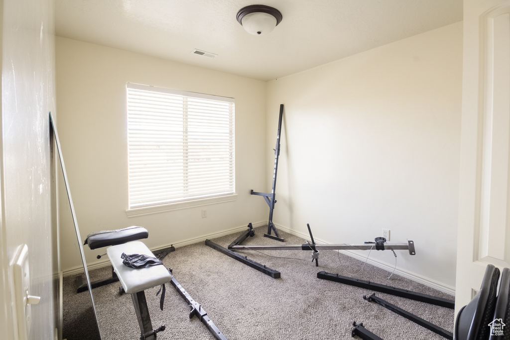 Exercise room featuring plenty of natural light and carpet floors