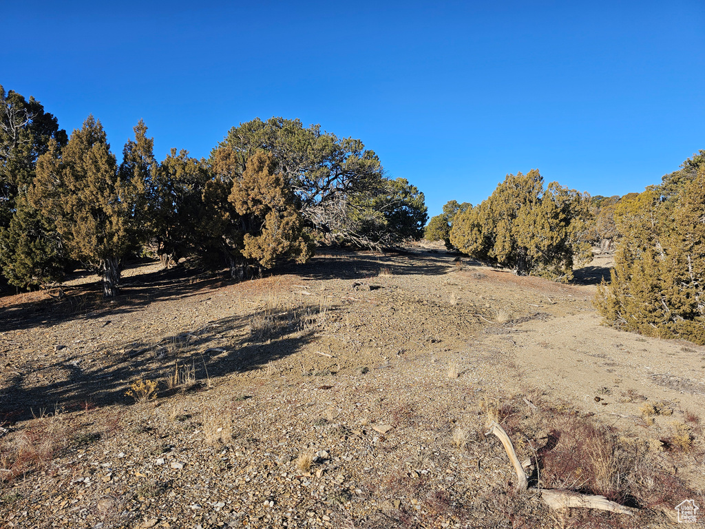 View of yard with a rural view