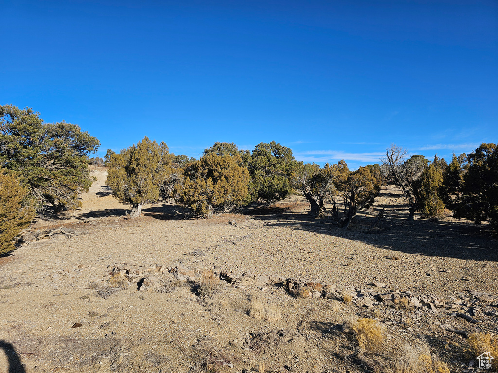 View of yard with a rural view