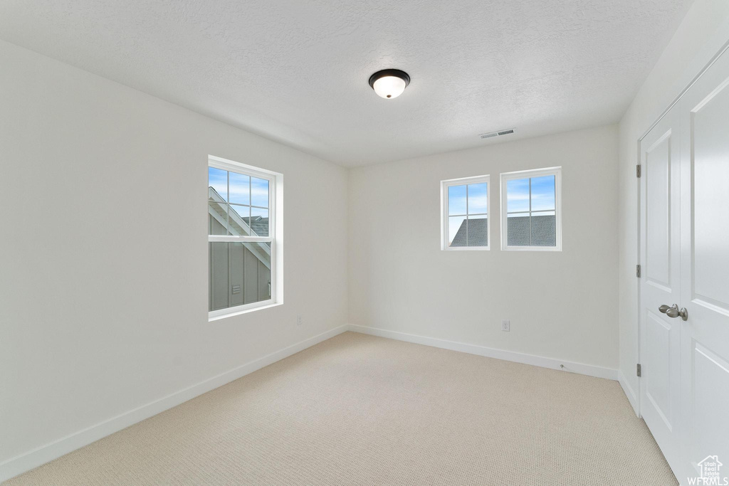 Spare room with a textured ceiling, a wealth of natural light, and light colored carpet
