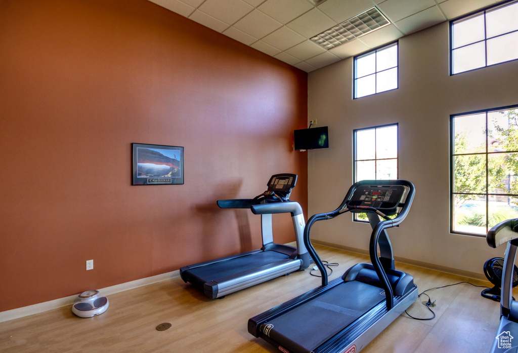 Workout area featuring light hardwood / wood-style floors, a healthy amount of sunlight, and a drop ceiling