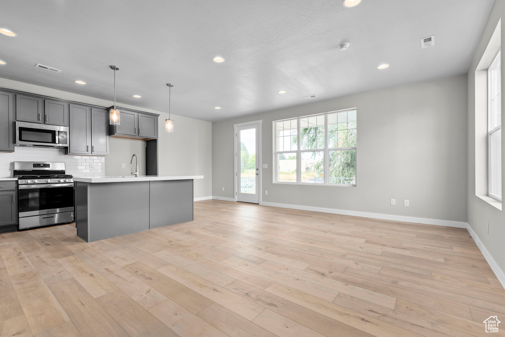 Kitchen with gray cabinets, stainless steel appliances, tasteful backsplash, and light hardwood / wood-style flooring