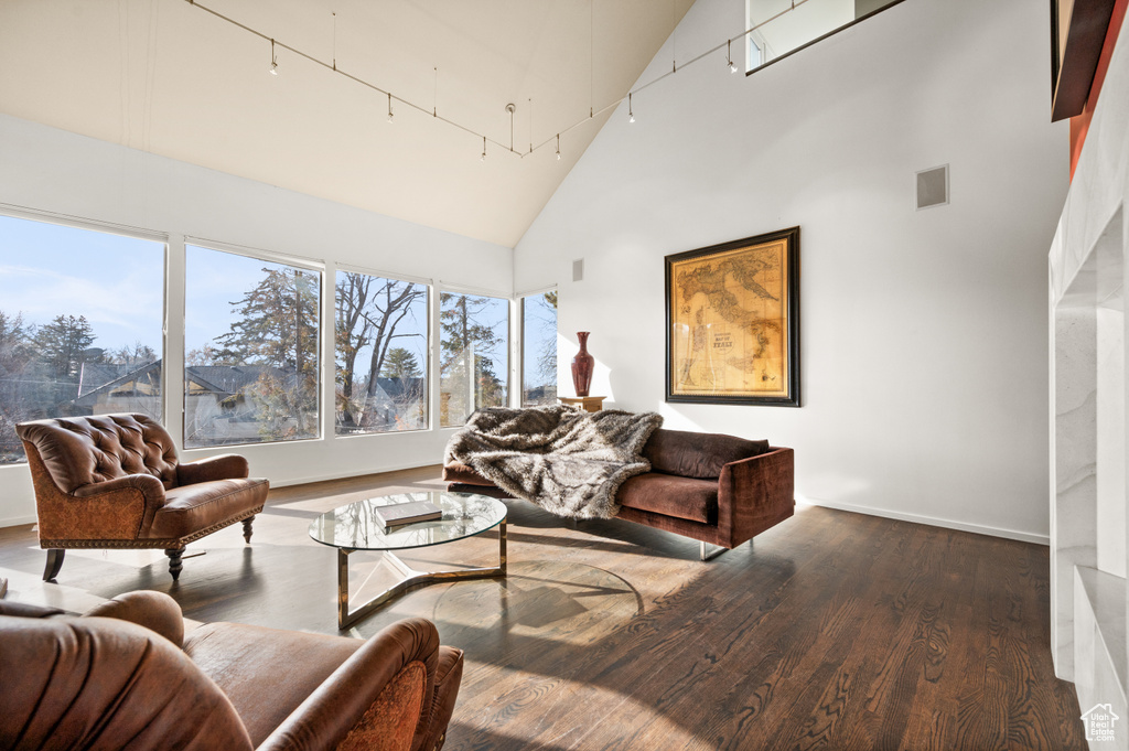 Living room featuring high vaulted ceiling, dark hardwood / wood-style flooring, and track lighting