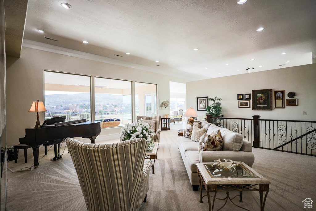 Living room featuring light colored carpet