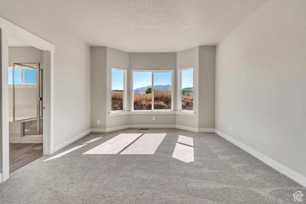 Carpeted spare room featuring plenty of natural light