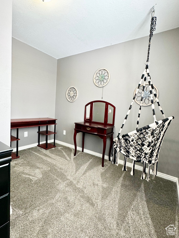 Sitting room featuring carpet floors and a textured ceiling