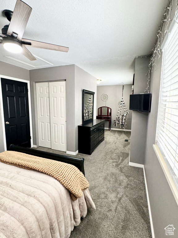 Carpeted bedroom with multiple windows, a closet, a textured ceiling, and ceiling fan