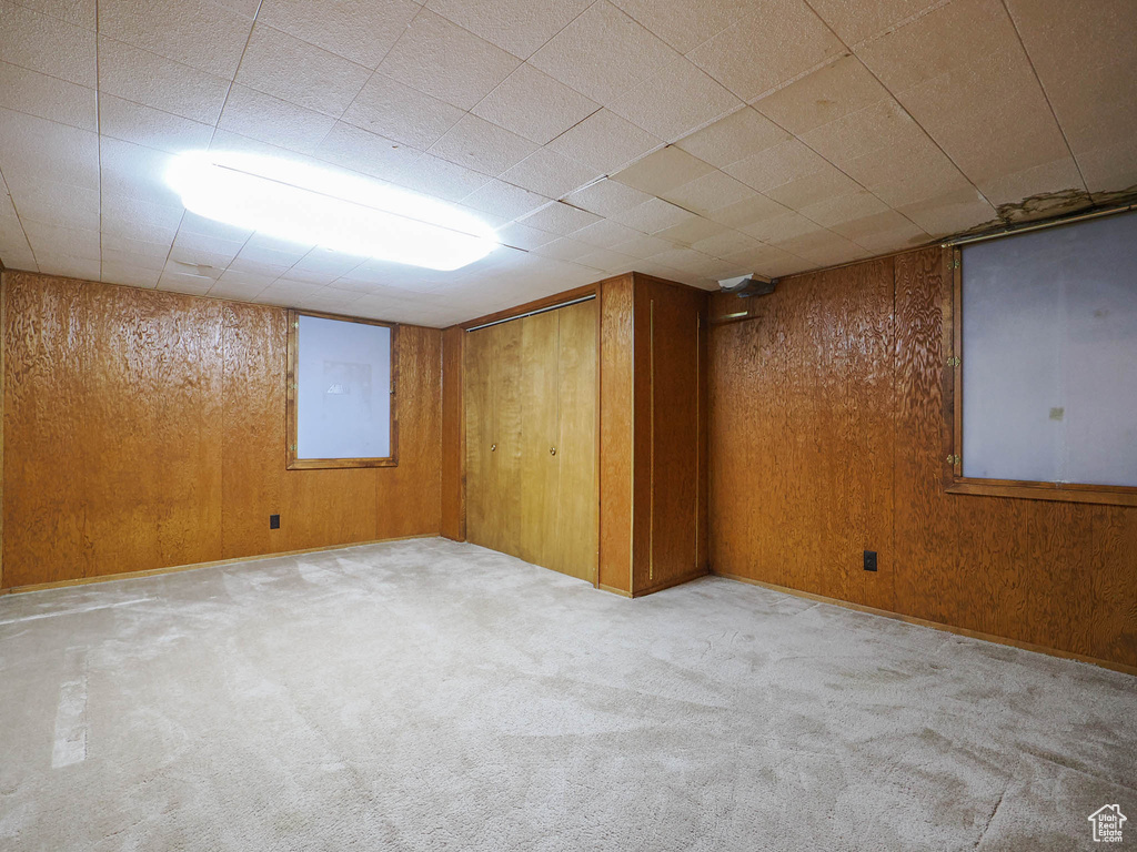Basement with wood walls and light carpet