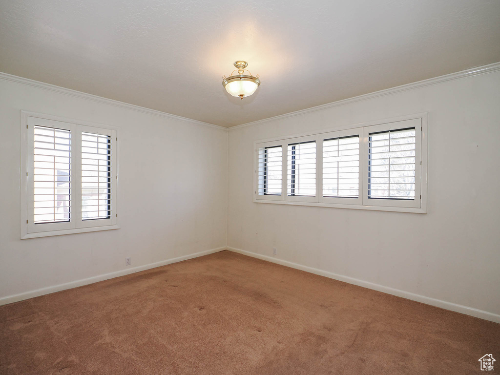 Unfurnished room featuring a wealth of natural light, ornamental molding, and carpet