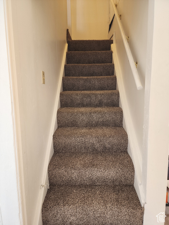 Staircase featuring carpet