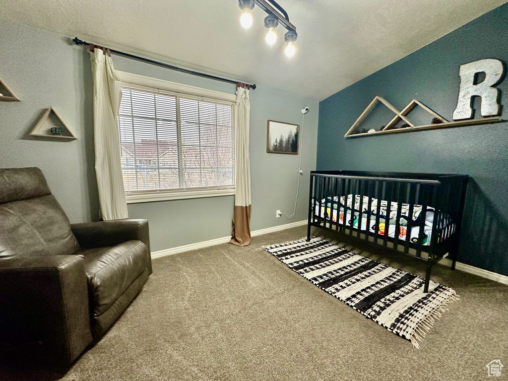 Carpeted bedroom featuring lofted ceiling, a nursery area, a textured ceiling, and track lighting